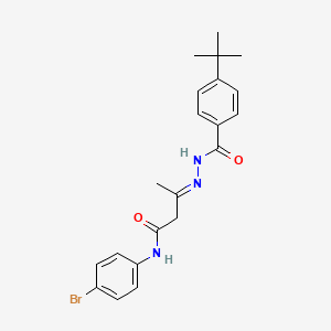 molecular formula C21H24BrN3O2 B11538554 (3E)-N-(4-bromophenyl)-3-{2-[(4-tert-butylphenyl)carbonyl]hydrazinylidene}butanamide 