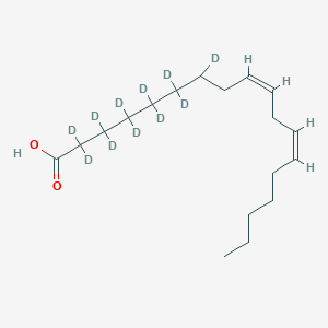 molecular formula C18H21D11O2 B1153955 亚油酸-d11 