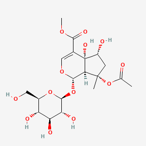 molecular formula C19H28O13 B1154318 异黄素苷 B CAS No. 288248-46-4