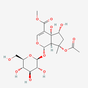 Phlorigidoside B