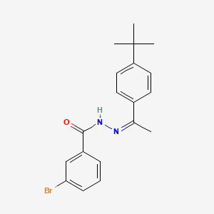 3-bromo-N'-[(1Z)-1-(4-tert-butylphenyl)ethylidene]benzohydrazide