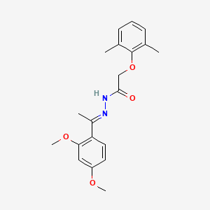 N'-[(1E)-1-(2,4-dimethoxyphenyl)ethylidene]-2-(2,6-dimethylphenoxy)acetohydrazide