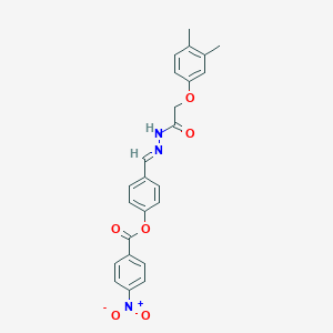 molecular formula C24H21N3O6 B11547446 4-[(E)-{2-[(3,4-dimethylphenoxy)acetyl]hydrazinylidene}methyl]phenyl 4-nitrobenzoate 