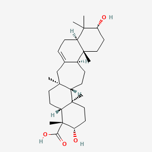 molecular formula C30H48O4 B1154888 Lycernuic acid A CAS No. 53755-77-4