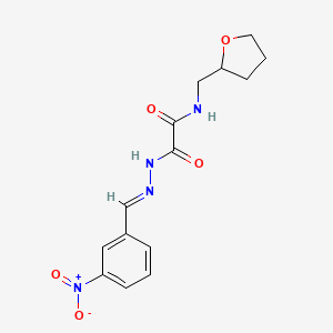 molecular formula C14H16N4O5 B11549553 2-[N'-(3-Nitro-benzylidene)-hydrazino]-2-oxo-N-(tetrahydro-furan-2-ylmethyl)-acetamide 