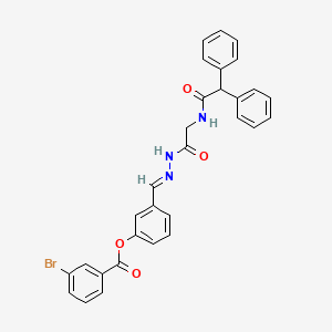 molecular formula C30H24BrN3O4 B11550191 3-[(E)-{[2-(2,2-Diphenylacetamido)acetamido]imino}methyl]phenyl 3-bromobenzoate 