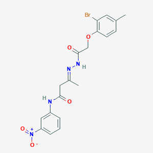 molecular formula C19H19BrN4O5 B11553109 (3E)-3-{2-[(2-bromo-4-methylphenoxy)acetyl]hydrazinylidene}-N-(3-nitrophenyl)butanamide 