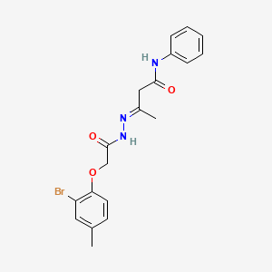 (3E)-3-{[(2-bromo-4-methylphenoxy)acetyl]hydrazono}-N-phenylbutanamide