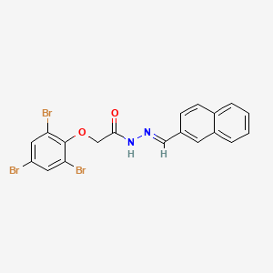 molecular formula C19H13Br3N2O2 B11557289 N'-[(E)-naphthalen-2-ylmethylidene]-2-(2,4,6-tribromophenoxy)acetohydrazide 