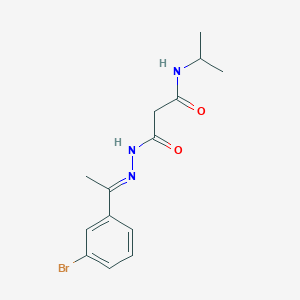 molecular formula C14H18BrN3O2 B11558131 3-{(2E)-2-[1-(3-bromophenyl)ethylidene]hydrazinyl}-3-oxo-N-(propan-2-yl)propanamide 