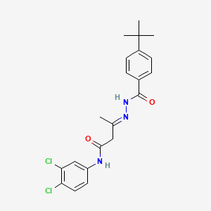 (3E)-3-{2-[(4-tert-butylphenyl)carbonyl]hydrazinylidene}-N-(3,4-dichlorophenyl)butanamide