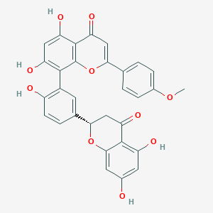 molecular formula C31H22O10 B1155924 2,3-Dihydropodocarpusflavone A CAS No. 852875-96-8