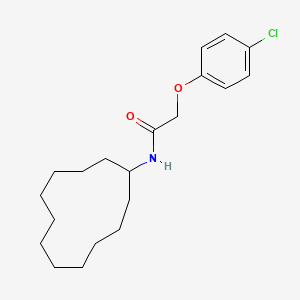 2-(4-chlorophenoxy)-N-cyclododecylacetamide