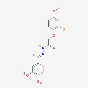 molecular formula C16H15BrN2O5 B11561399 2-(2-bromo-4-methoxyphenoxy)-N'-[(E)-(3,4-dihydroxyphenyl)methylidene]acetohydrazide 