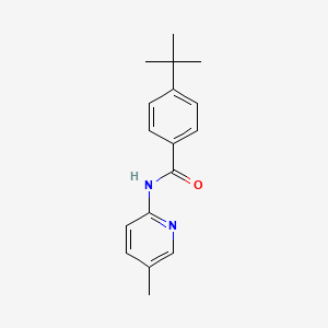 4-tert-butyl-N-(5-methylpyridin-2-yl)benzamide