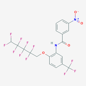 molecular formula C19H11F11N2O4 B11563068 3-nitro-N-{2-[(2,2,3,3,4,4,5,5-octafluoropentyl)oxy]-5-(trifluoromethyl)phenyl}benzamide 