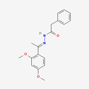 N'-[(1E)-1-(2,4-dimethoxyphenyl)ethylidene]-2-phenylacetohydrazide