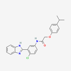 molecular formula C24H22ClN3O2 B11565012 N-[3-(1H-benzimidazol-2-yl)-4-chlorophenyl]-2-(4-isopropylphenoxy)acetamide 