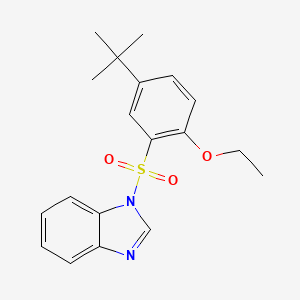 1-[(5-tert-butyl-2-ethoxyphenyl)sulfonyl]-1H-benzimidazole