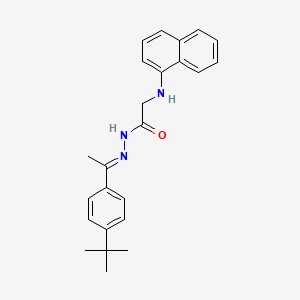 molecular formula C24H27N3O B11565978 N'-[(1E)-1-(4-Tert-butylphenyl)ethylidene]-2-[(naphthalen-1-YL)amino]acetohydrazide 