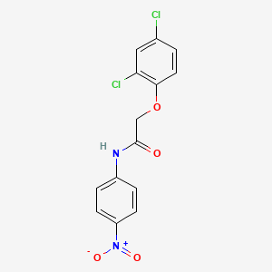 molecular formula C14H10Cl2N2O4 B11566203 2-(2,4-dichlorophenoxy)-N-(4-nitrophenyl)acetamide CAS No. 92152-91-5