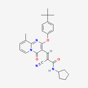 molecular formula C28H30N4O3 B11570299 (2E)-3-[2-(4-tert-butylphenoxy)-9-methyl-4-oxo-4H-pyrido[1,2-a]pyrimidin-3-yl]-2-cyano-N-cyclopentylprop-2-enamide 