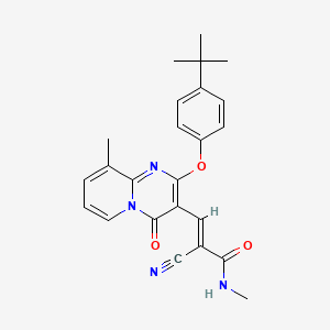 molecular formula C24H24N4O3 B11571420 (2E)-3-[2-(4-tert-butylphenoxy)-9-methyl-4-oxo-4H-pyrido[1,2-a]pyrimidin-3-yl]-2-cyano-N-methylprop-2-enamide 