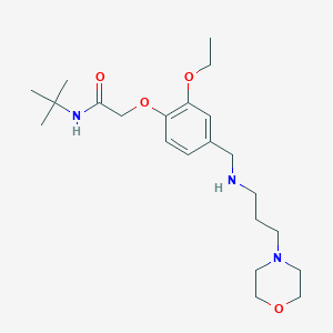 molecular formula C22H37N3O4 B11573667 N-tert-butyl-2-[2-ethoxy-4-({[3-(morpholin-4-yl)propyl]amino}methyl)phenoxy]acetamide 