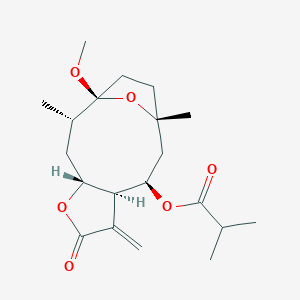 molecular formula C20H30O6 B1157414 3-O-Methyltirotundin CAS No. 1021945-29-8