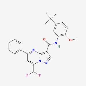 N-(5-tert-butyl-2-methoxyphenyl)-7-(difluoromethyl)-5-phenylpyrazolo[1,5-a]pyrimidine-3-carboxamide