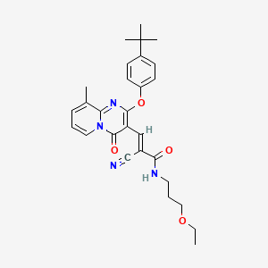 molecular formula C28H32N4O4 B11575809 (2E)-3-[2-(4-tert-butylphenoxy)-9-methyl-4-oxo-4H-pyrido[1,2-a]pyrimidin-3-yl]-2-cyano-N-(3-ethoxypropyl)prop-2-enamide 