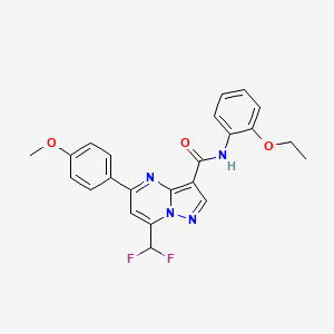 7-(difluoromethyl)-N-(2-ethoxyphenyl)-5-(4-methoxyphenyl)pyrazolo[1,5-a]pyrimidine-3-carboxamide