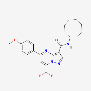 N-cyclooctyl-7-(difluoromethyl)-5-(4-methoxyphenyl)pyrazolo[1,5-a]pyrimidine-3-carboxamide