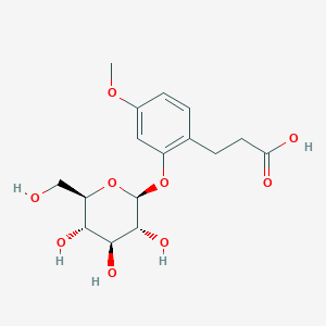 molecular formula C16H22O9 B1158307 3-(2-葡萄糖氧基-4-甲氧基苯基)丙酸 CAS No. 477873-63-5