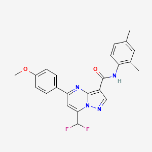 molecular formula C23H20F2N4O2 B11584193 7-(difluoromethyl)-N-(2,4-dimethylphenyl)-5-(4-methoxyphenyl)pyrazolo[1,5-a]pyrimidine-3-carboxamide 