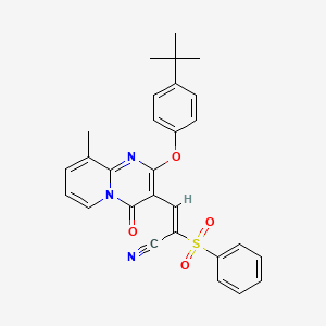 molecular formula C28H25N3O4S B11585377 (2E)-3-[2-(4-tert-butylphenoxy)-9-methyl-4-oxo-4H-pyrido[1,2-a]pyrimidin-3-yl]-2-(phenylsulfonyl)prop-2-enenitrile 