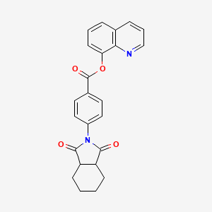 quinolin-8-yl 4-(1,3-dioxooctahydro-2H-isoindol-2-yl)benzoate