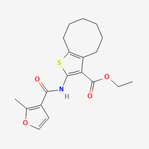 Ethyl 2-{[(2-methylfuran-3-yl)carbonyl]amino}-4,5,6,7,8,9-hexahydrocycloocta[b]thiophene-3-carboxylate