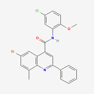 6-bromo-N-(5-chloro-2-methoxyphenyl)-8-methyl-2-phenylquinoline-4-carboxamide