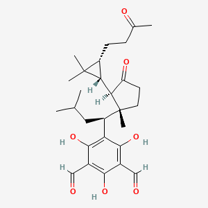 molecular formula C28H38O7 B1159662 Macrocarpal N CAS No. 221899-21-4