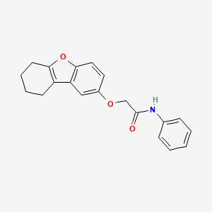 N-phenyl-2-(6,7,8,9-tetrahydrodibenzo[b,d]furan-2-yloxy)acetamide