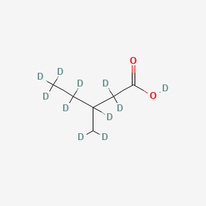 (+/-)-3-Methylpentanoic-D11 acid