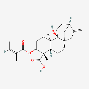 molecular formula C25H36O5 B1161519 3α-天使酰氧基翅 kau 烯L3 CAS No. 79406-11-4