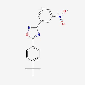 1,2,4-Oxadiazole, 5-[4-(1,1-dimethylethyl)phenyl]-3-(3-nitrophenyl)-