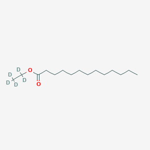 molecular formula C₁₅H₂₅D₅O₂ B1161740 Tridecanoic Acid Ethyl-d5 Ester 