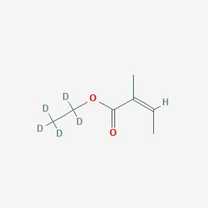 molecular formula C₇H₇D₅O₂ B1161741 Angelic Acid Ethyl-d5 Ester 