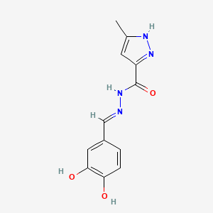 N'-[(E)-(3,4-dihydroxyphenyl)methylidene]-3-methyl-1H-pyrazole-5-carbohydrazide