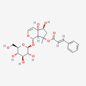 molecular formula C24H30O11 B1162130 [(1S,4aS,5S,7S,7aS)-4a,5-dihydroxy-7-methyl-1-[(2S,3R,4S,5S,6R)-3,4,5-trihydroxy-6-(hydroxymethyl)oxan-2-yl]oxy-1,5,6,7a-tetrahydrocyclopenta[c]pyran-7-yl] (E)-3-phenylprop-2-enoate CAS No. 1151862-67-7
