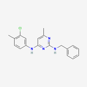 molecular formula C19H19ClN4 B11621978 N~2~-benzyl-N~4~-(3-chloro-4-methylphenyl)-6-methylpyrimidine-2,4-diamine 