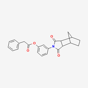 3-(1,3-dioxooctahydro-2H-4,7-methanoisoindol-2-yl)phenyl phenylacetate